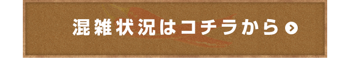 混雑業況はこちら